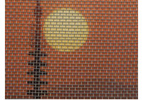 ɴ